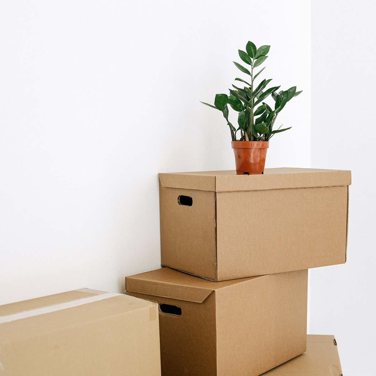plan_on_top_of_boxes_asremoval plan_on_top_of_boxes_asremoval
